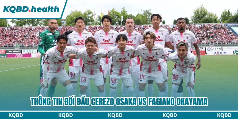 Thông tin đối đầu Cerezo Osaka vs Fagiano Okayama