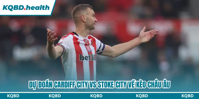 Dự Đoán Cardiff City Vs Stoke City lúc 01h45 ngày 09/09/2026 - Championship 3 Dự đoán Cardiff City vs Stoke City kèo châu Âu