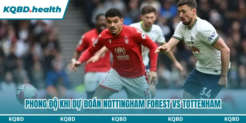 Dự Đoán Nottingham Forest vs Tottenham Lúc 21h00 Ngày 05/09 - Ngoại Hạng Anh 1 Dự đoán Nottingham Forest vs Tottenham qua phong độ hiện tại