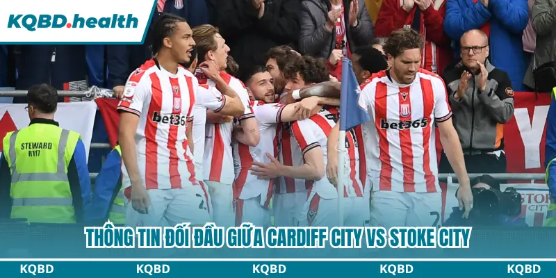 Dự Đoán Cardiff City Vs Stoke City lúc 01h45 ngày 09/09/2026 - Championship 2 Thông tin đối đầu của 2 câu lạc bộ gần đây