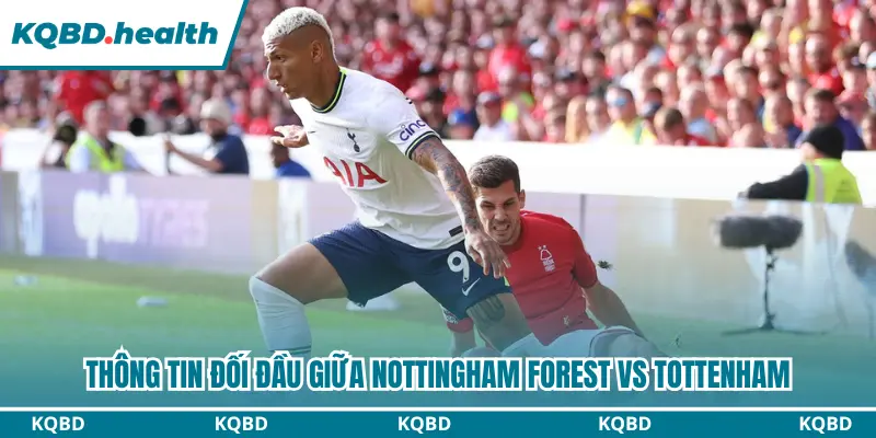 Dự Đoán Nottingham Forest vs Tottenham Lúc 21h00 Ngày 05/09 - Ngoại Hạng Anh 2 Thông tin lịch sử đối đầu 2 đội bóng